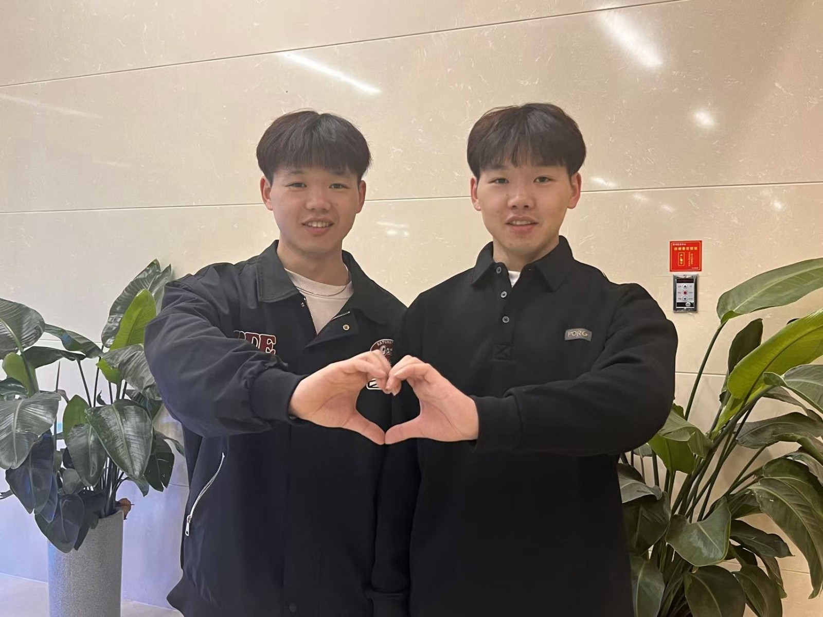 1735521599939795.jpg 1735521599939795.jpg